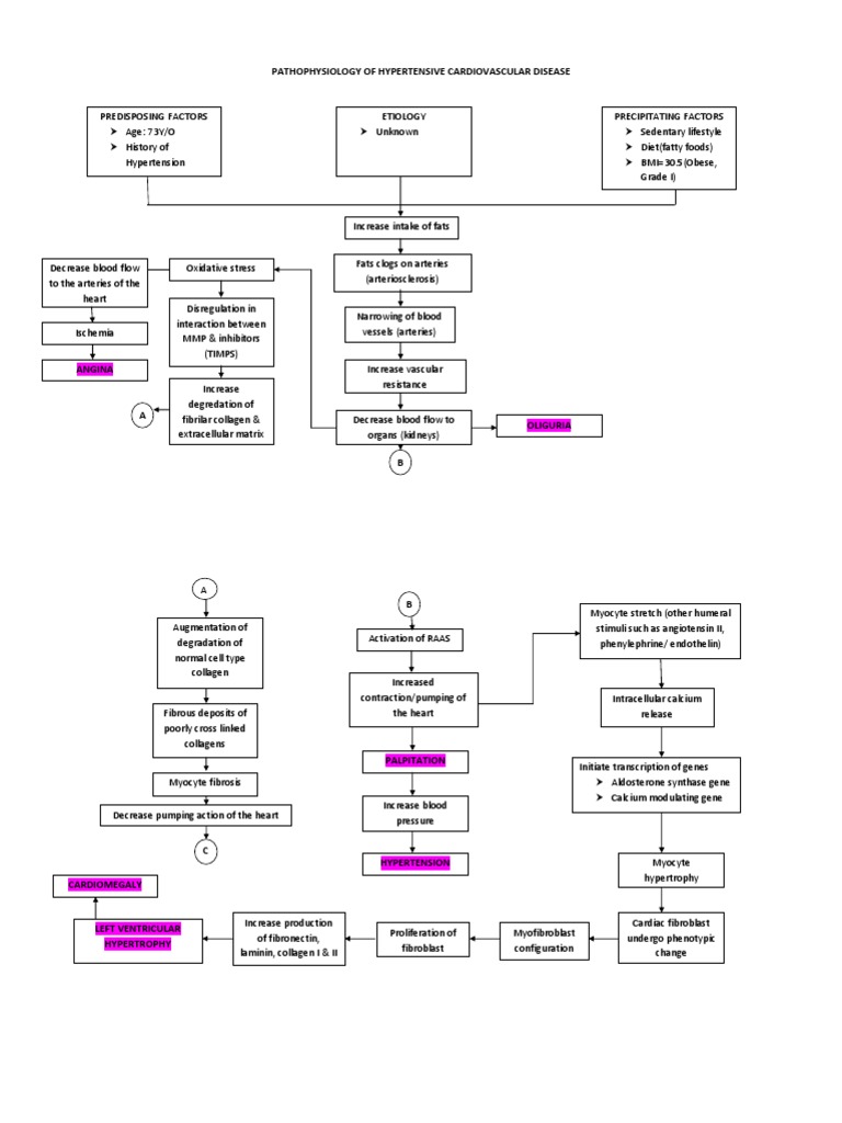 Coronary Artery Disease University Health Network