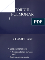 cordul_pulmonar.pptx