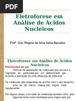Eletroforese Agarose e Poliacrilamida
