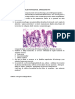 Histología digestiva: esófago, estómago, hígado y páncreas