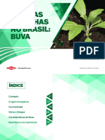 CONTROLE DE BUVA.pdf