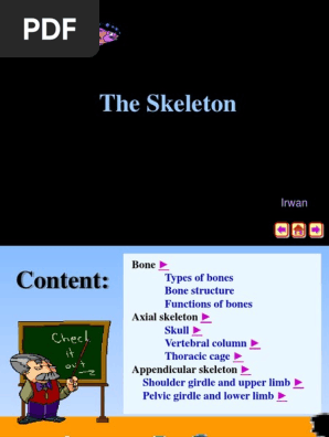 The Skeleton