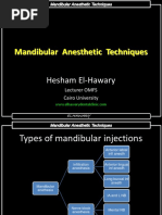 Mandibular Anesthetic Techniques