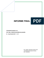 CUSTOM Informe