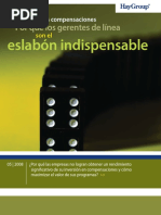 Gestion de Las Compensaciones HAYGROUP