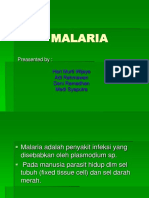 Malaria n 01