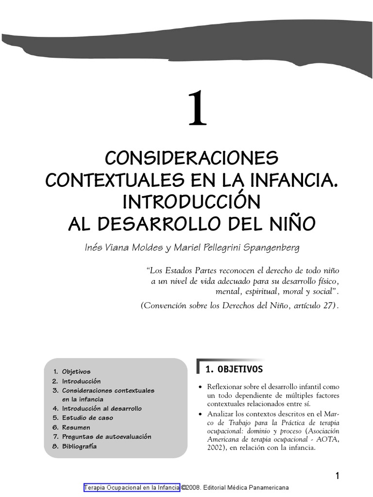 Terapia Ocupacional En La Infancia 2008 - 