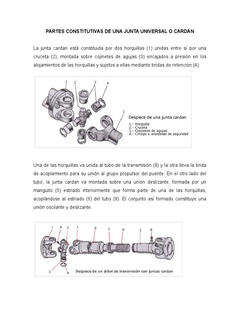 Abrazaderas Metalicas Universal - 15 Piezas, Plateado, Para Juntas Y Bridas  Kit Abrazadera Fuelle Cardán