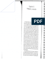 Profesión y Vocación PDF