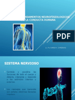 4 NEURONA Sistema Nervioso