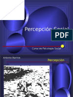 Percepcion Social