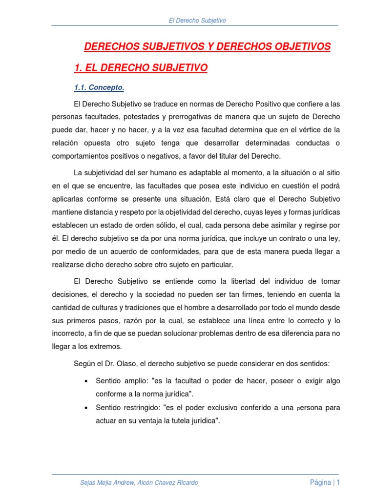 El Derecho Subjetivo y Derecho Objetivo Bienes (Ley