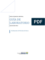 Guía de Laboratorio Carga Puntual.docx