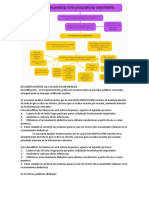 Decodificación de Las Falacias en Un Mensaje