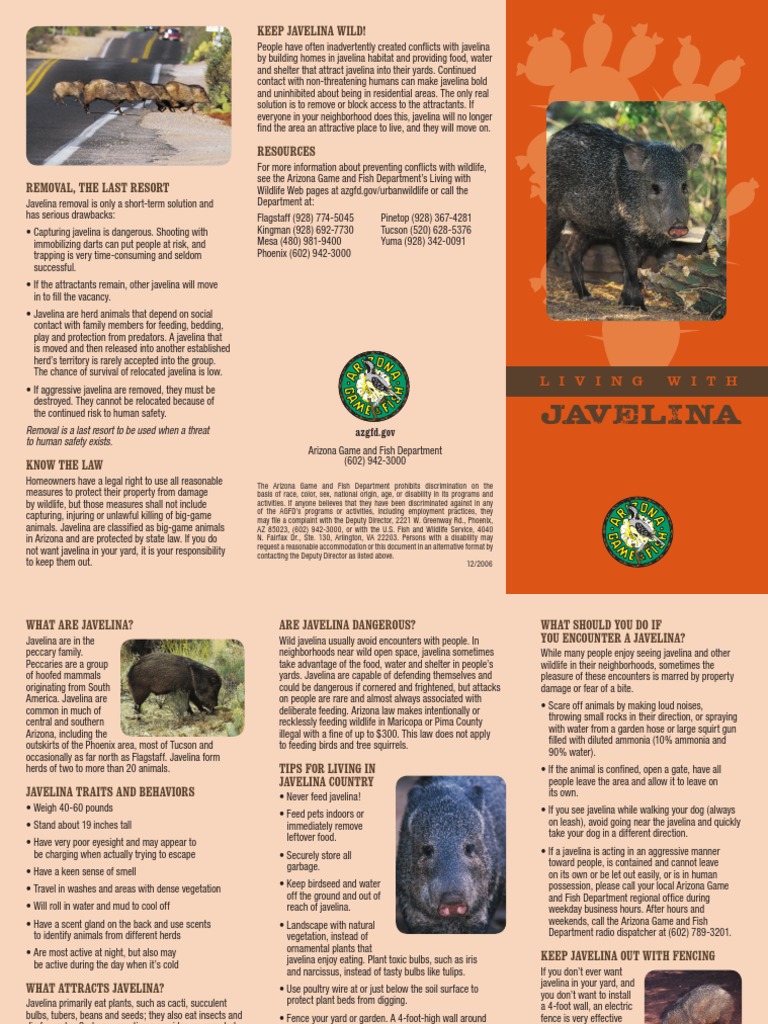 Keep javelina wild! Arizona Plants