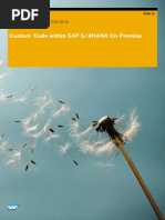 Custom Code Within SAP S4HANA OnPremise PDF