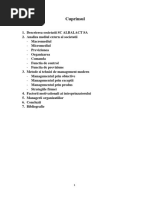 Proiect Management strategic SC ALBALACT SA.docx