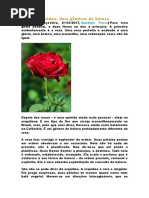 Rosa e orquídea - dois gêneros de beleza.docx