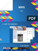 Présentation_mws