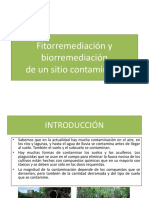 Biorremediación y Fitorremediación