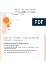 Raízes Da Concentração Industrial em SP W. Cano