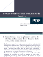 Procedimientos Familia Especiales