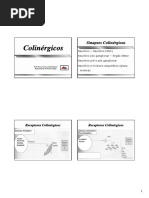 Colinergicos-e-anticolinergicos.pdf