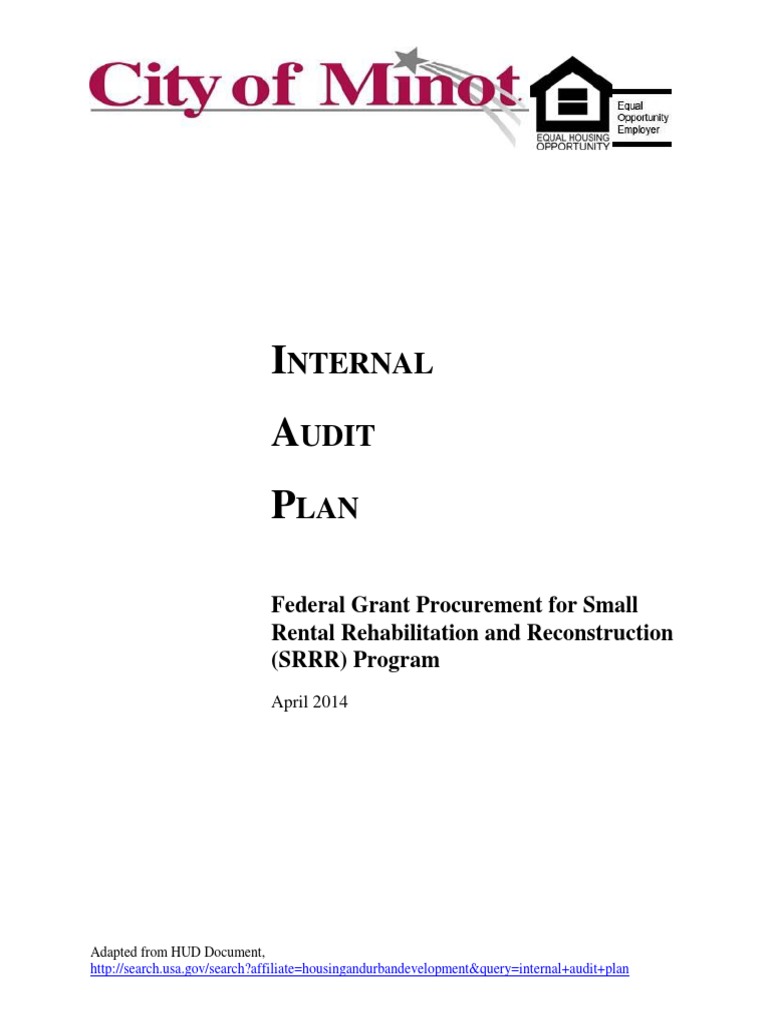 Internal Audit Plan for SRRR Program | PDF | Internal Audit | Audit
