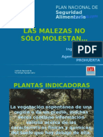 Plantas Indicadoras - Cordoba PDF