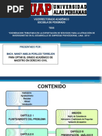 21 Diapositivas Sustentación Maestria