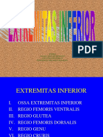 184126966-1-EXTR-INFERIOR-2009-ppt.ppt