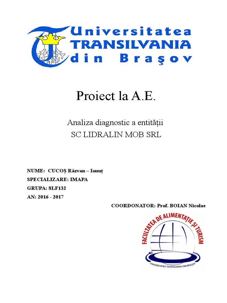 Proiect AE | PDF