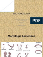 Estructura y Morfologia Bacteriana UNJ