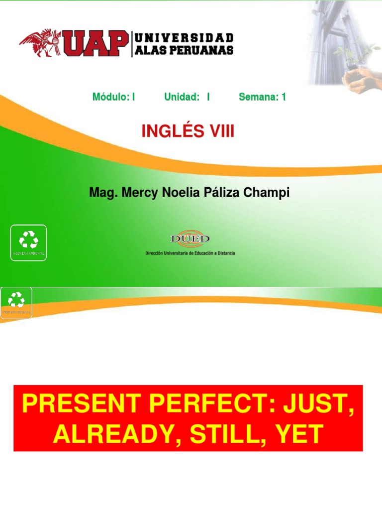 Present Perfect: Just, Already, Still, Yet | PDF | Linguistic Typology ...