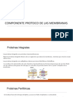 Componente Proteico de Las Membranas