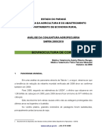 bovino_corte_2009_10.pdf