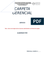 CARPETA GERENCIAL+2017.doc