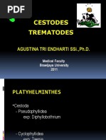 Ces n Trematode 12