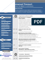 CV Etrecourt Digital Ecommerce PDF