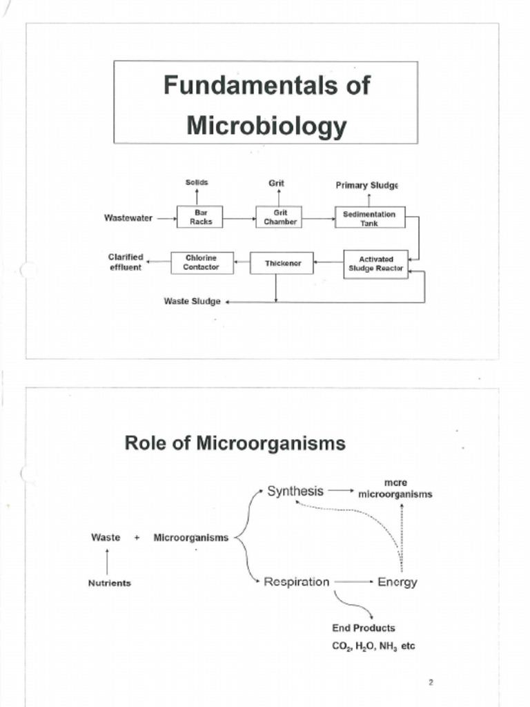 Environmental Engineering and Microbiology | PDF