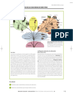 Los Cinco Reinos PDF