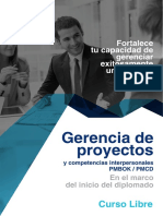 Gerencia de Proyectos - Brochure