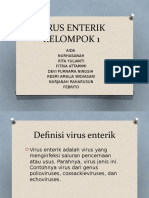 Virus Enterik