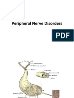 Peripheral Nerve Disorders: Grades of Injury and Treatment Options