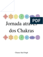 Jornada Através Dos Chakras - Muladhara