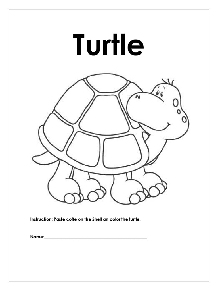 Turtle: Instruction: Paste Coffe On The Shell An Color The Turtle | PDF ...