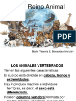ANIMALES VERTEBRADOS  PARA 1RO.ppt