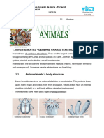 Invertebrates - General Characteristics: Loyola