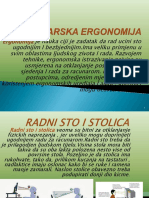 Racunarska Ergonomija