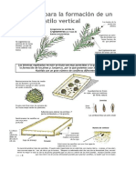 Las verdad sobre las semillas de BONSAI.pdf